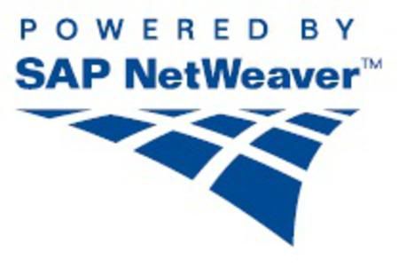 Sap Netweaver 7.3