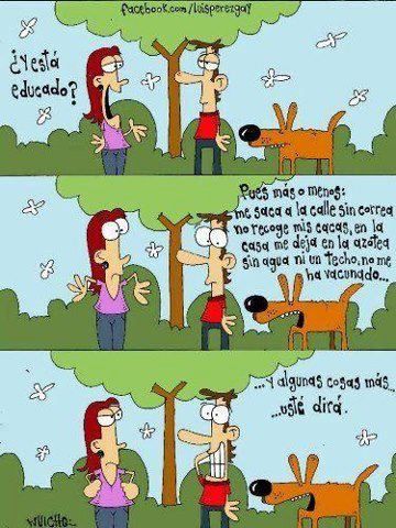 vegan