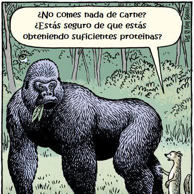 Animales