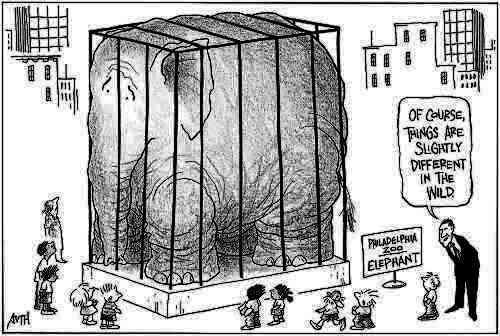 liberacion