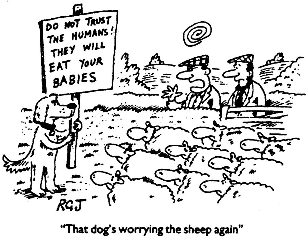 Animales