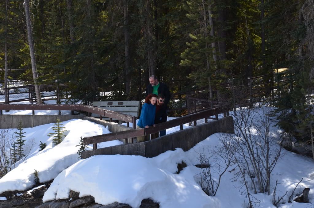 2011年4月加拿大西部山脈公園之旅-4 <wbr>（Athabasca <wbr>falls)