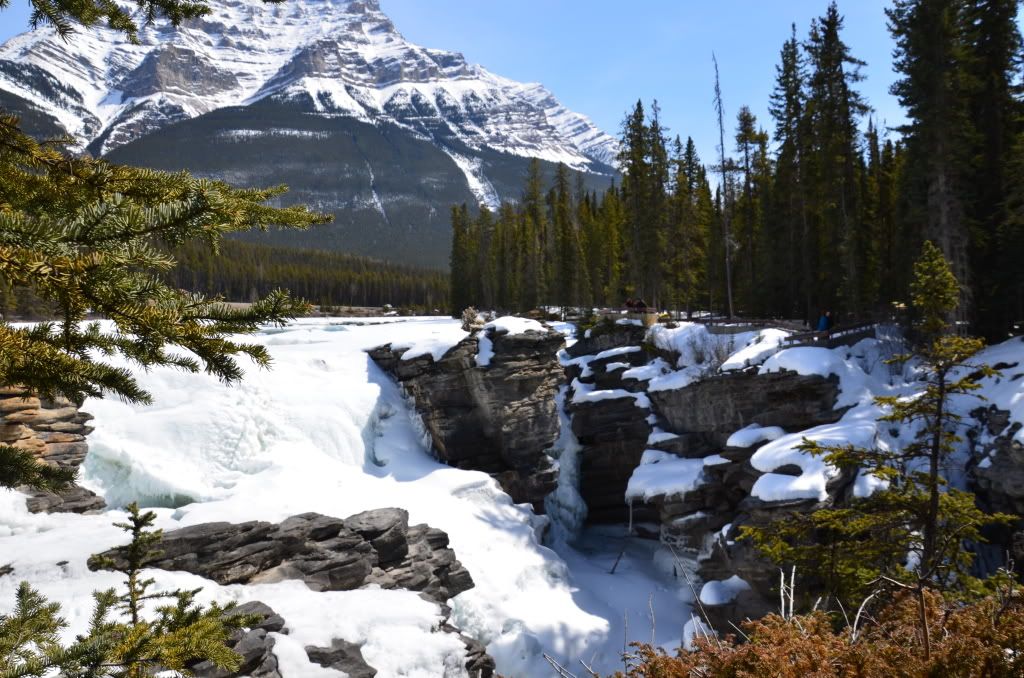 2011年4月加拿大西部山脉公园之旅-4 <wbr>（Athabasca <wbr>falls)