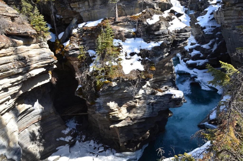 2011年4月加拿大西部山脈公園之旅-4 <wbr>（Athabasca <wbr>falls)