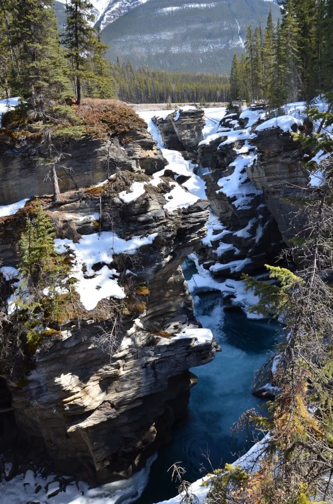 2011年4月加拿大西部山脉公园之旅-4 <wbr>（Athabasca <wbr>falls)
