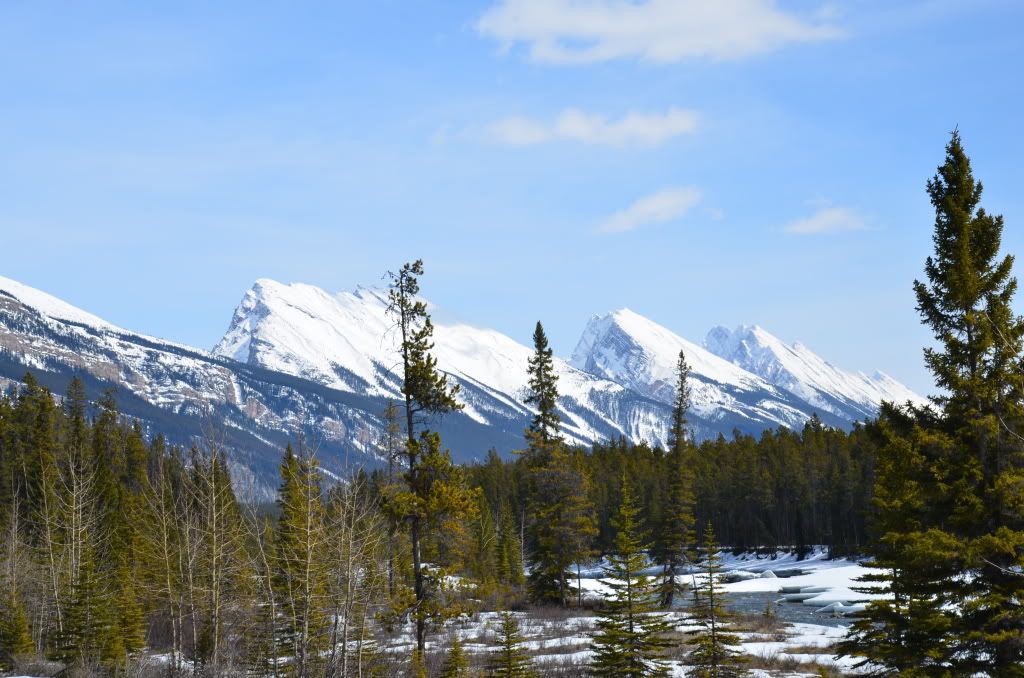 2011年4月加拿大西部山脉公园之旅-5 <wbr>(Athabasca <wbr>River)