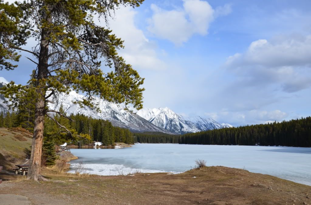 2011年4月加拿大西部山脈公園之旅-18 <wbr>(Johnson <wbr>Lake)