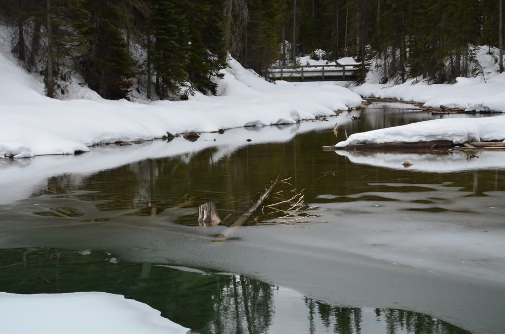 2011年4月加拿大西部山脉公园之旅-23 <wbr>(Emberald <wbr>Lake)-END