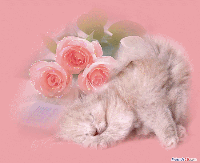 pink Pictures, Images and Photos