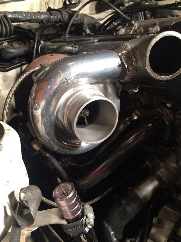 12200704_10153830055984131_1351354021_n_