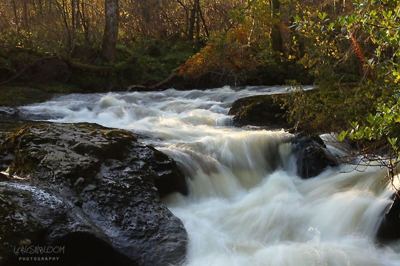 degrees of kelvin white balance - Buchanty Spout, Perthshire