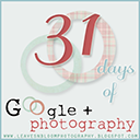 31 Days of Google Plus Photography by leavesnbloom