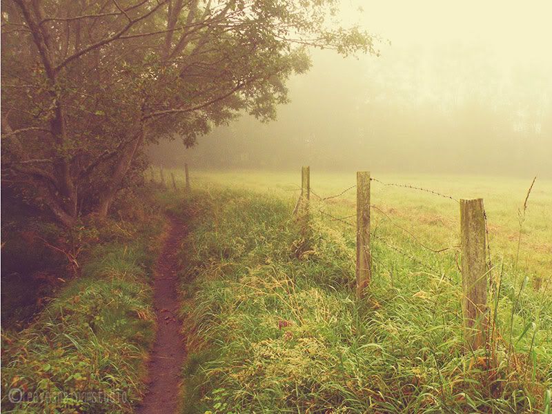 a student of composition - Perth Lade on foggy morning Perthshire Scotland