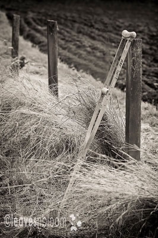 this is an old crutch I found along the lade path - leading lines photography 