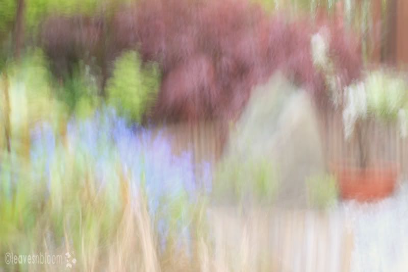 Impressionist painterly photographs - Japanese garden | Paint with light