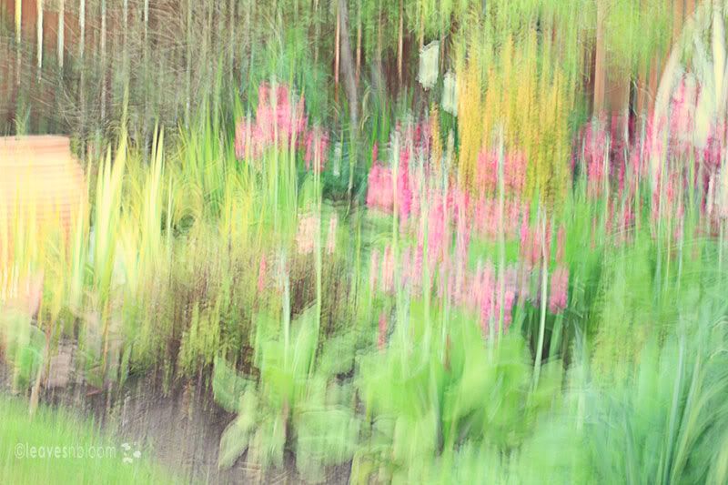 Creating impressionist painterly photographs 'in camera' Creating impressionist painterly photographs 'in camera'