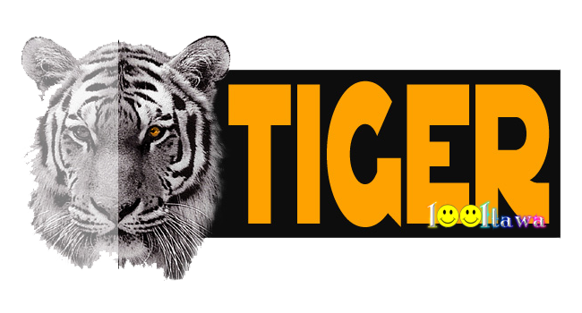 headertiger