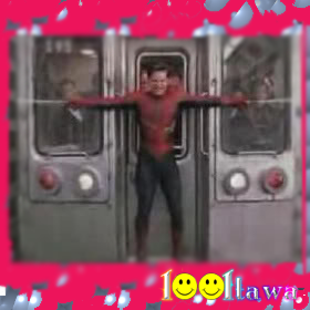 spider1
