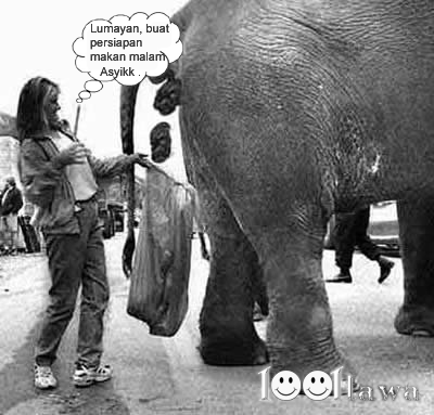Gajah