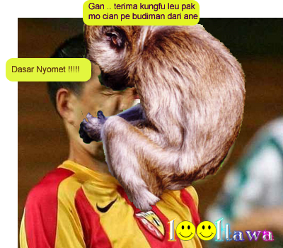 Kungfu