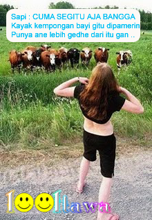Sapi1
