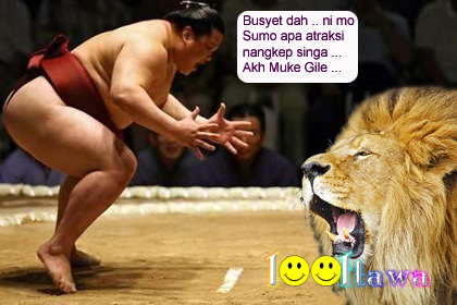 SumoSinga