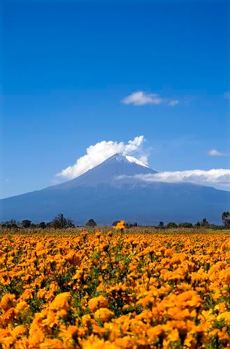 México México