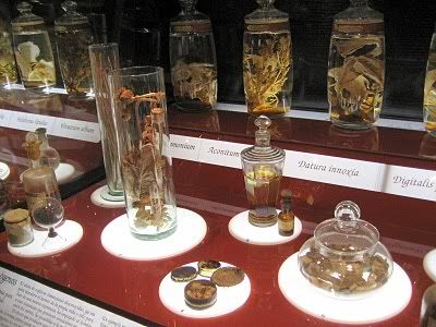 museo