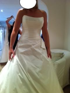 Suzanne Neville Fontaines