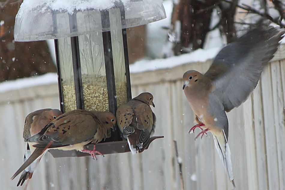 IMAGE: http://i1100.photobucket.com/albums/g412/garrykirsch/Speed/determination_950.jpg