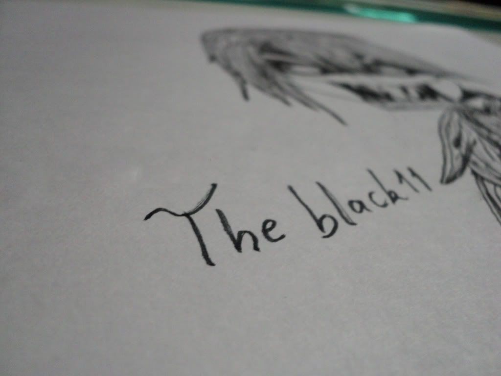 theblack11 theblack11