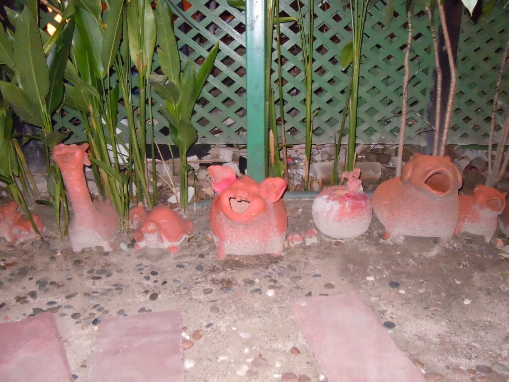 Народные танцы на Самуи