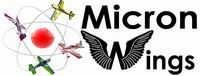 micronwings