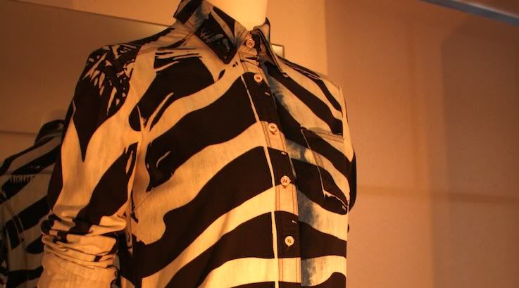 Animal Marino Pepino