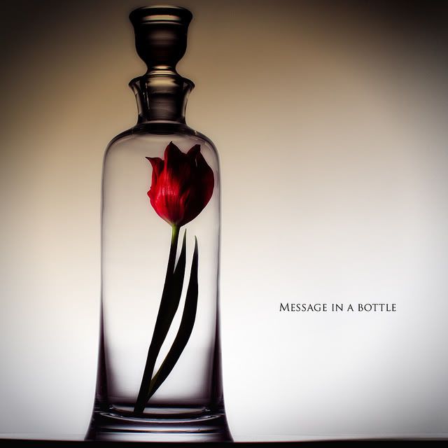  photo 6f9de8e37246.jpg