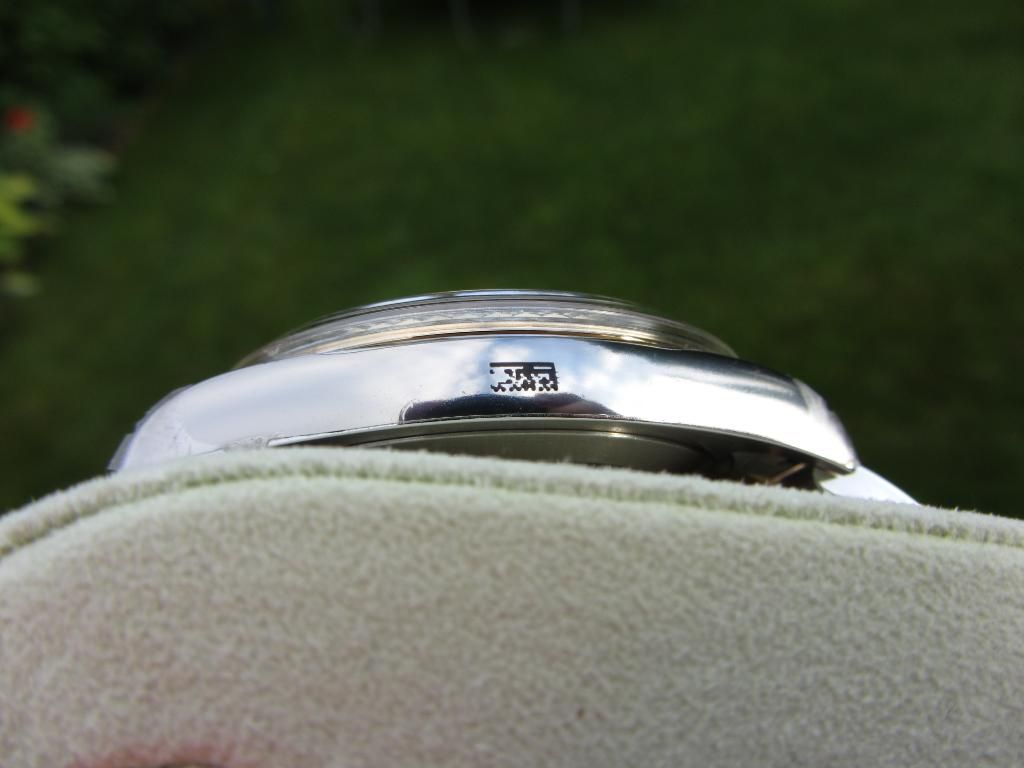 IMG_1793.jpg