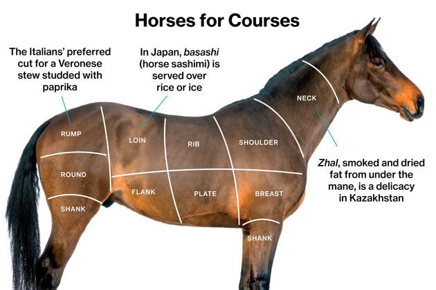 pol_horsemeat13__01__630x420.jpg