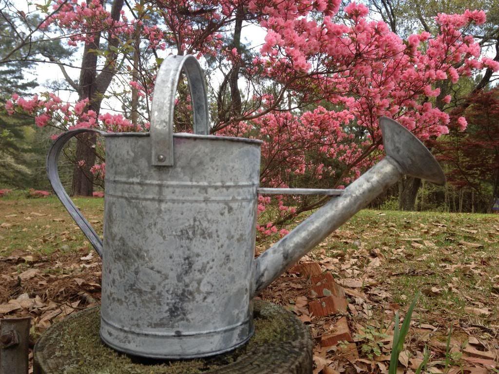  photo 036_zps6ad748ac.jpg