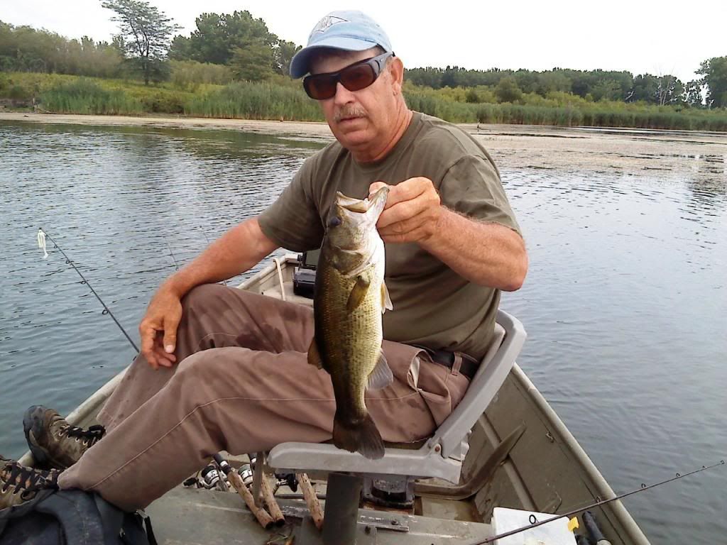 Windycityfishing Com View Topic Banner Marsh Hogs On Frogs