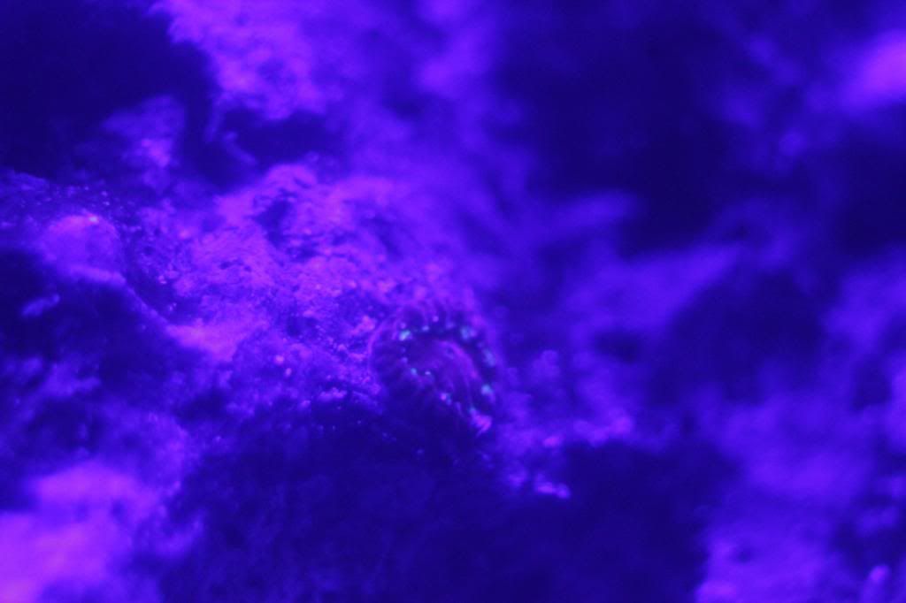 051.jpg