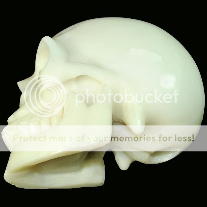 White Coral SKULL 5 Skeleton Sculpture Carving  