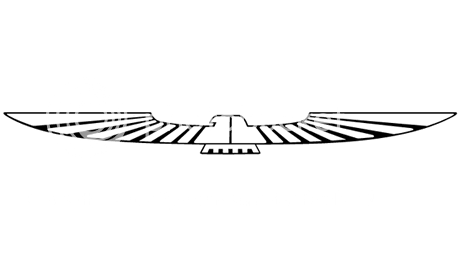 Ford tunderbird emblem #2