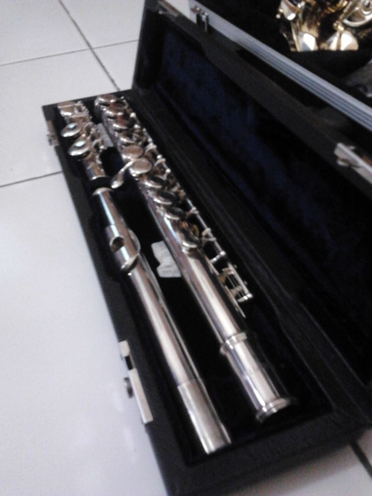 jual baby saxophone gold alto saxophone silver flute jual baby saxophone gold alto saxophone silver flute
