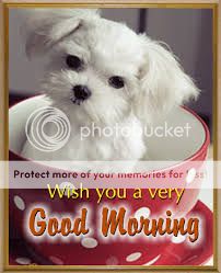 Good Morning - "Frenz 4 Ever" - Page 25 Cute-good-morning-image