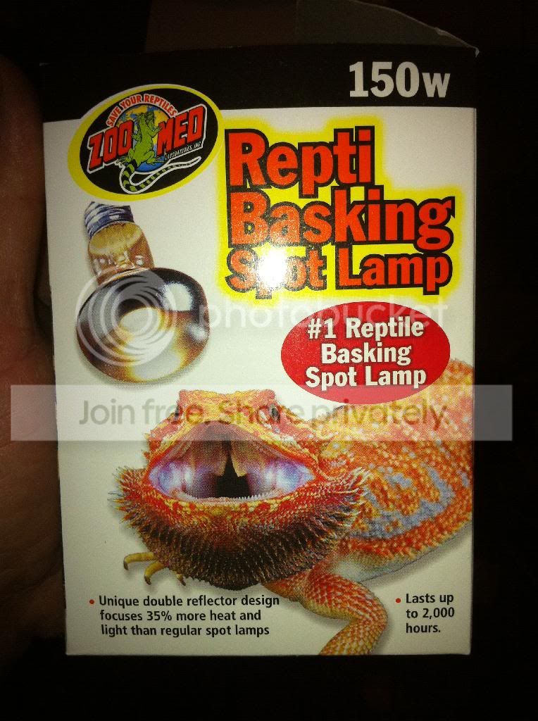 150 watt basking bulb for bearded dragon