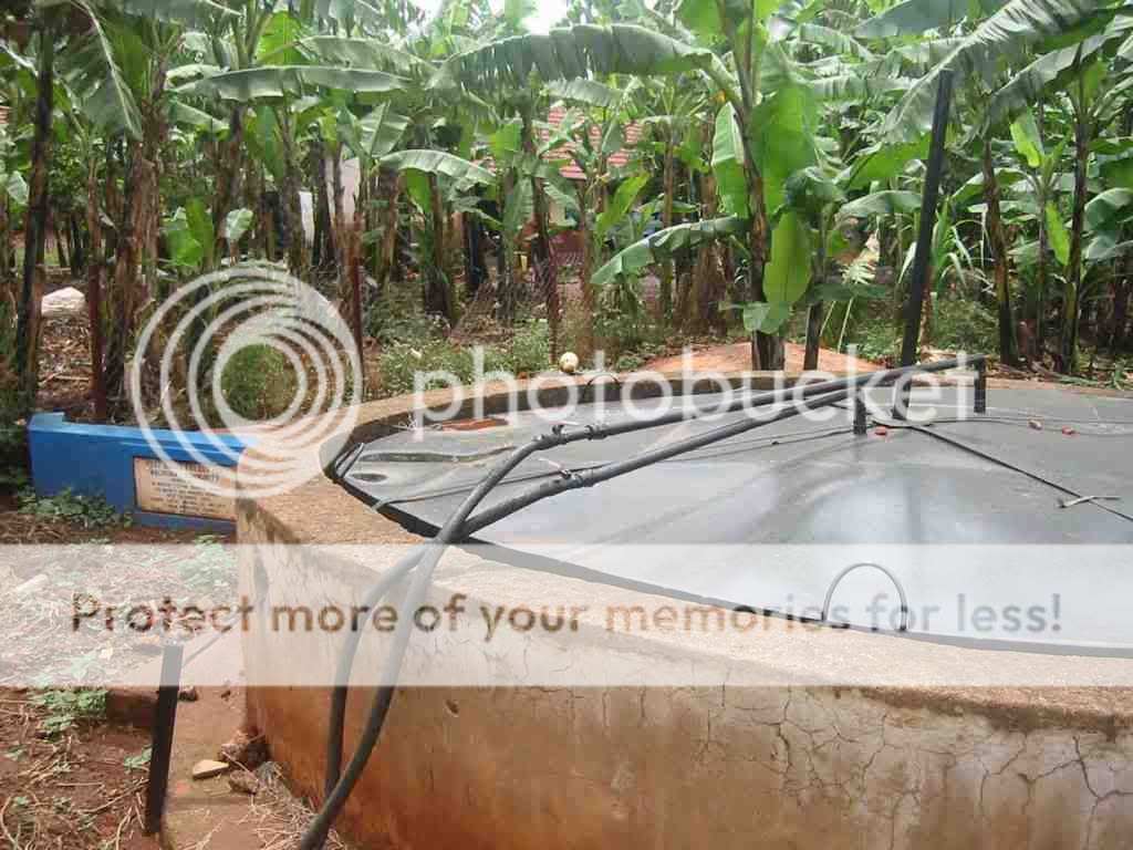 Biogas Ethanol BioDiesel cd Methane Anaerobic Digester  