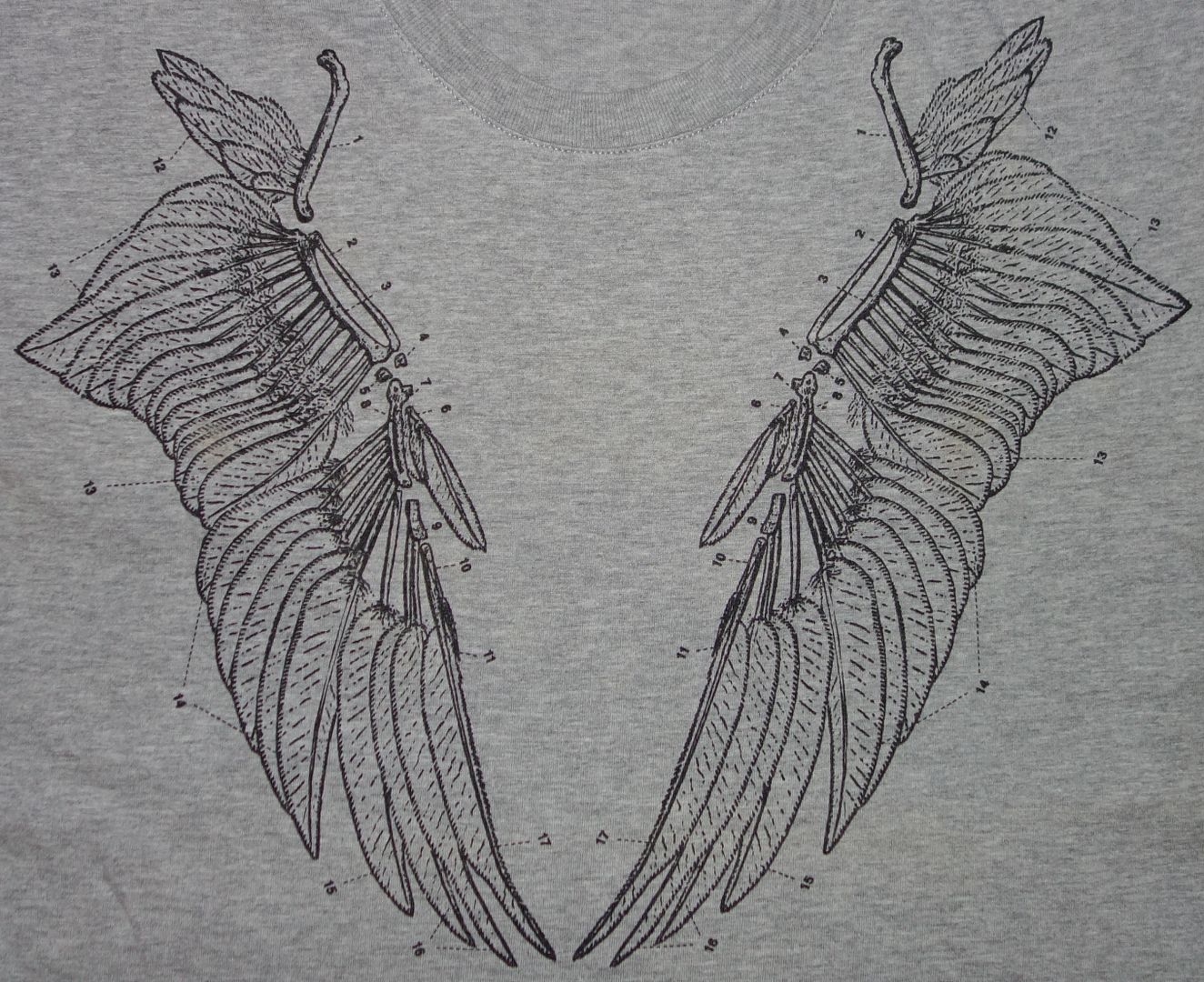 Dior Homme Runway SKELETON ANGEL WING T-shirt L 7H3362890091
