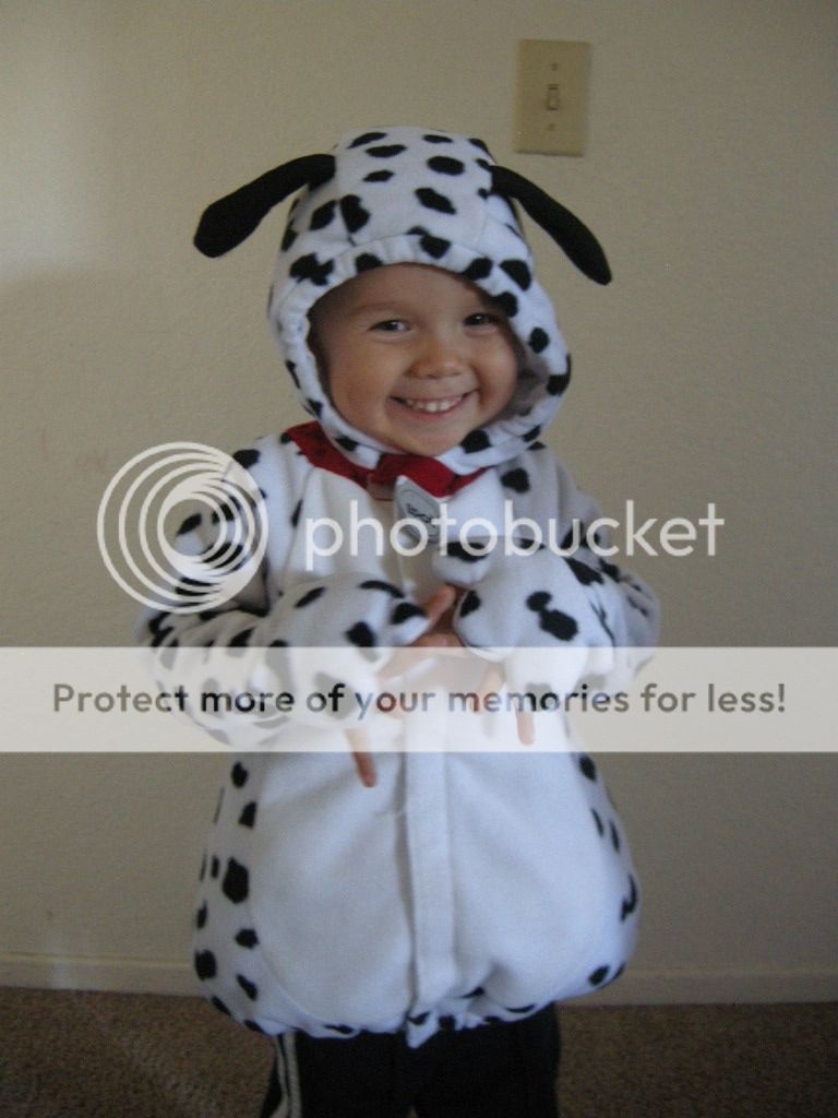 Adorable Toddler Boys Old Navy Dalmatian Dog Puppy Costume Halloween Size 2T 3T